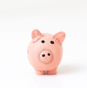 Image of a pink piggy bank. Representing the techniques you can learn from money management with a life coach in Salem, OR. Life coaching is tailored to learning techniques that work for you.