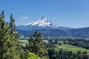 Image of a mountain covered in snow in Oregon. Representing that whether you are in Portland, Salem, or anywhere in oregon you can benefit from life coaching. Where an ADHD life coach or life coach for autistic adults can provide you with support.